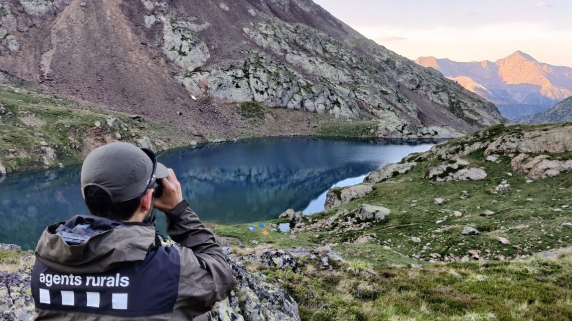 uma prática comum no ambiente natural é proibida