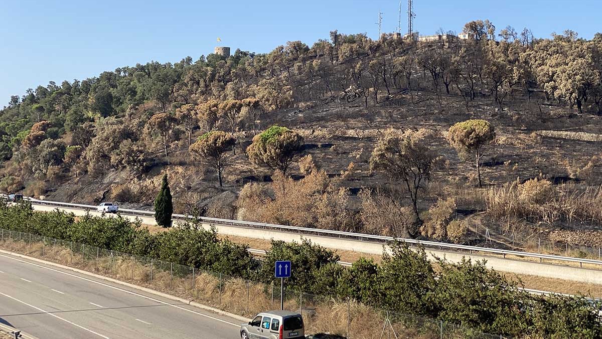 Um ‘bom verão’ em termos de incêndios florestais