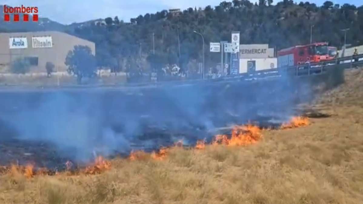 Incêndio na vegetação sem consequências