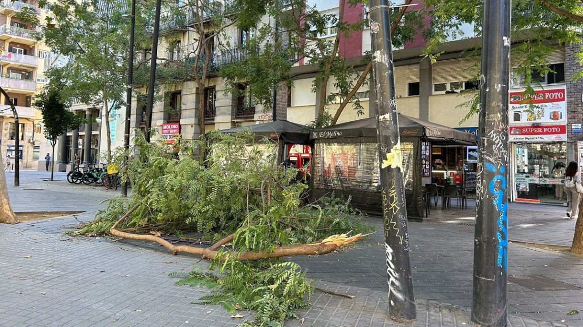 Barcelona fecha parques e jardins devido à chegada de fortes rajadas de vento